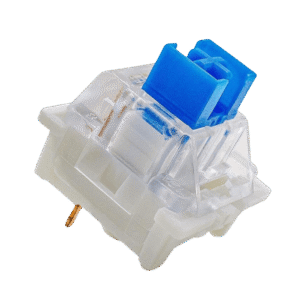 Blue Switches